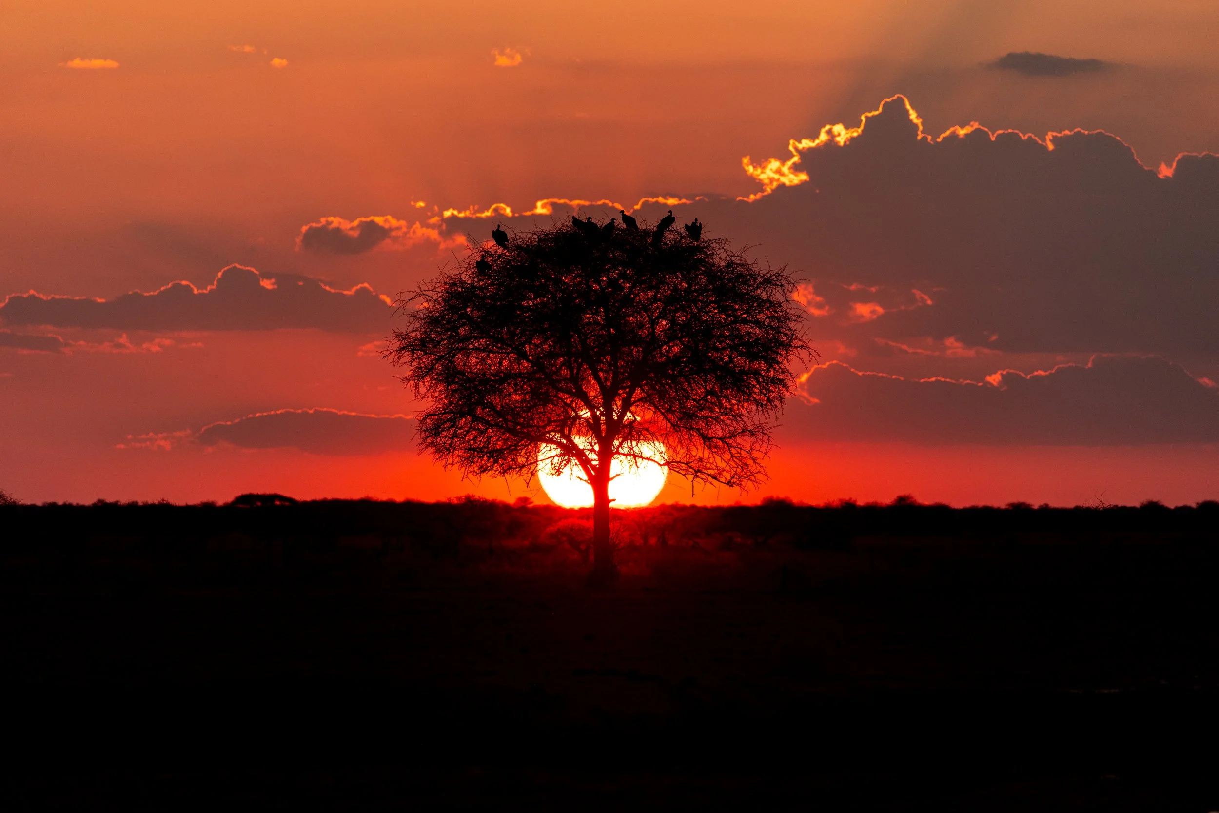 N'Pan landscape — arid and beautiful