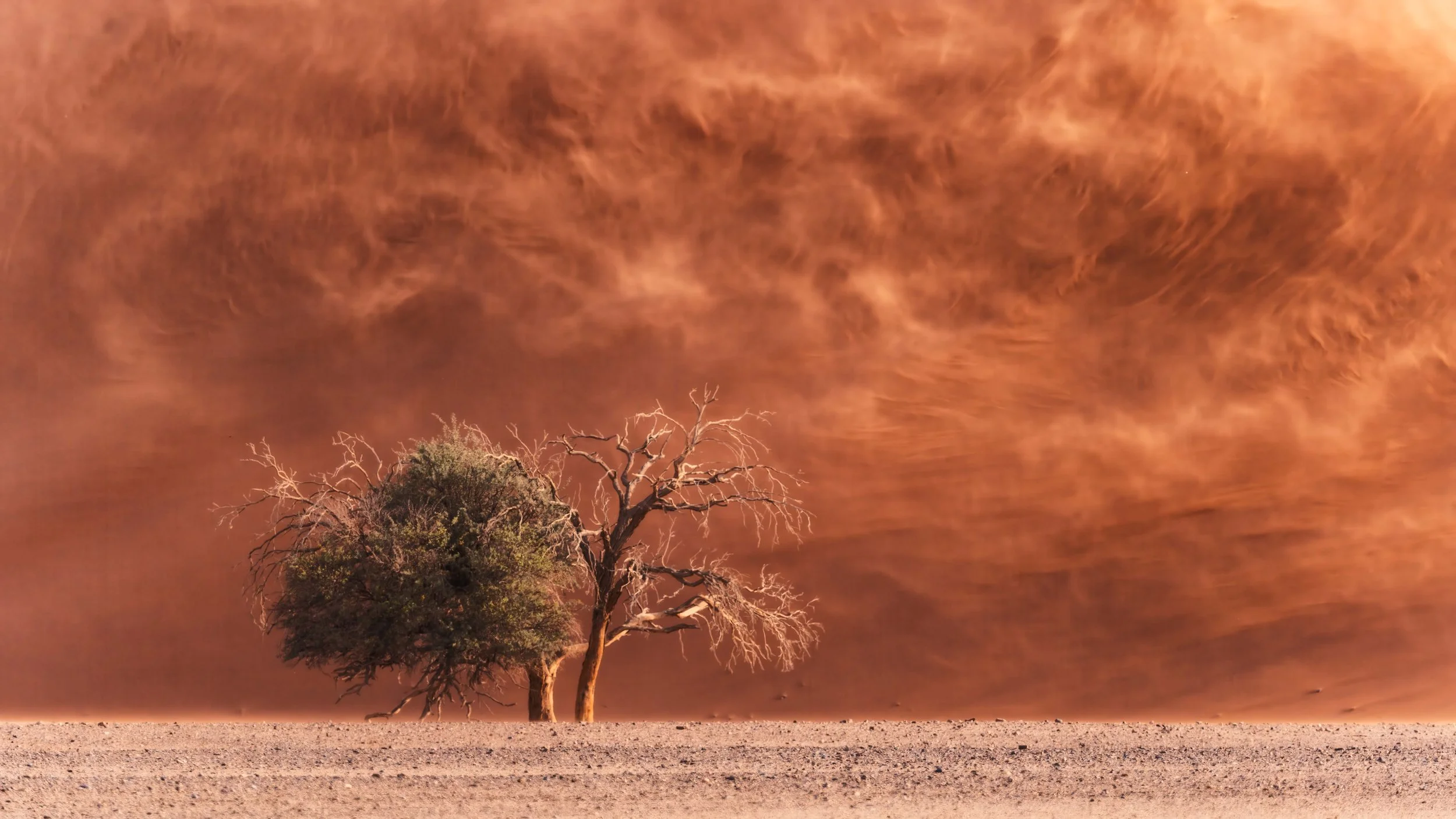 Desert photography workshop