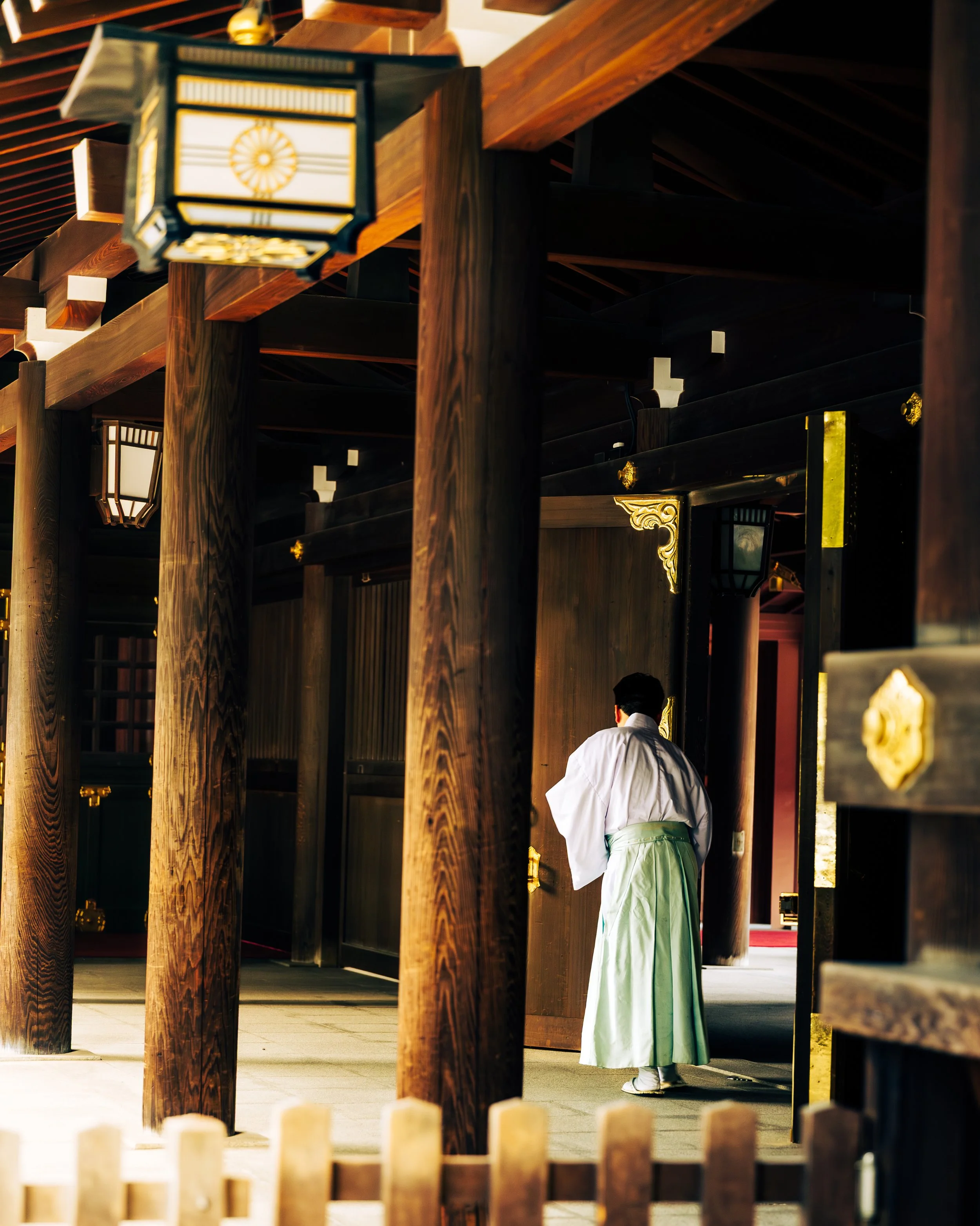 Sunrise at Meiji Shrine with a single figure