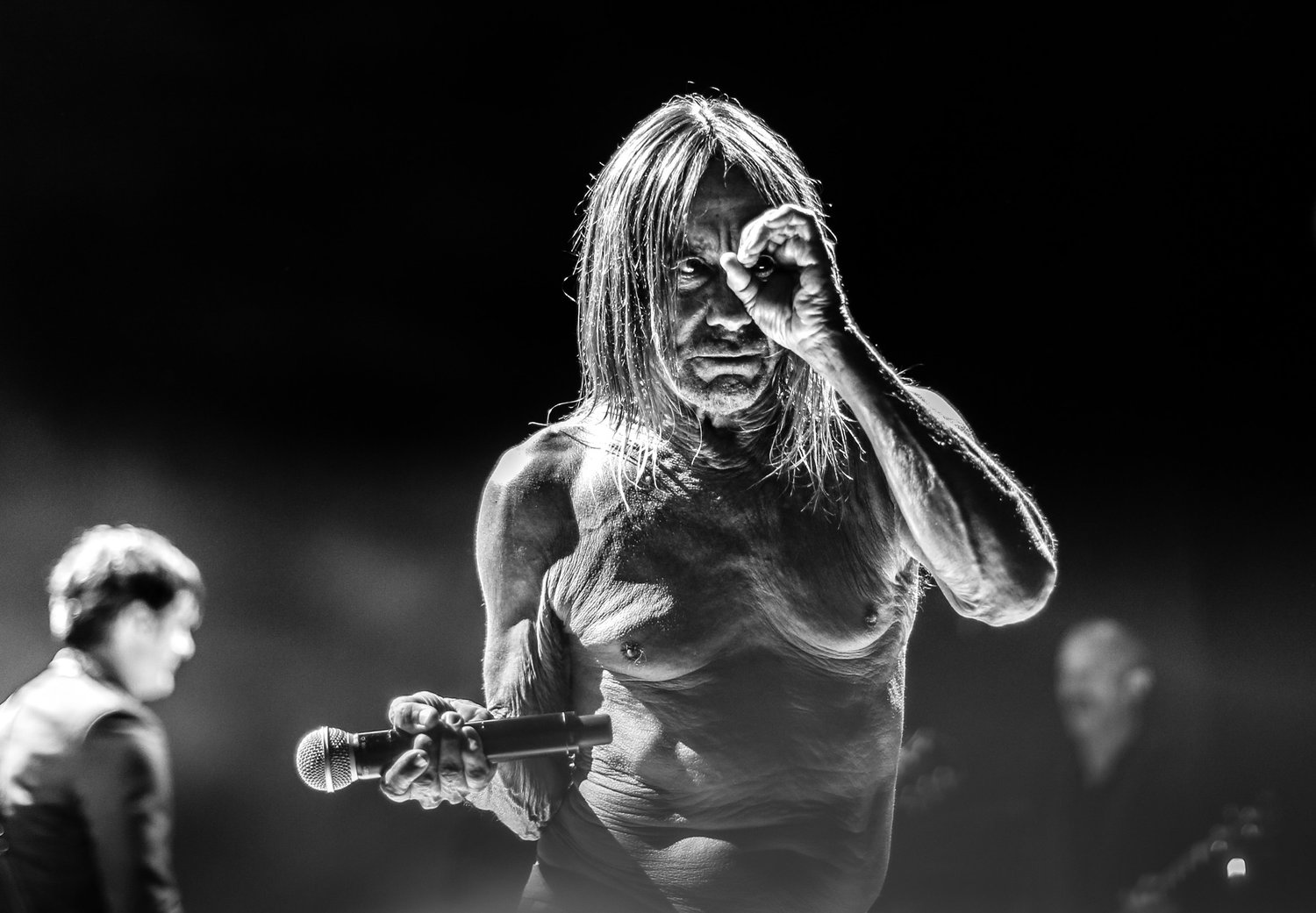 Iggy Pop 1975