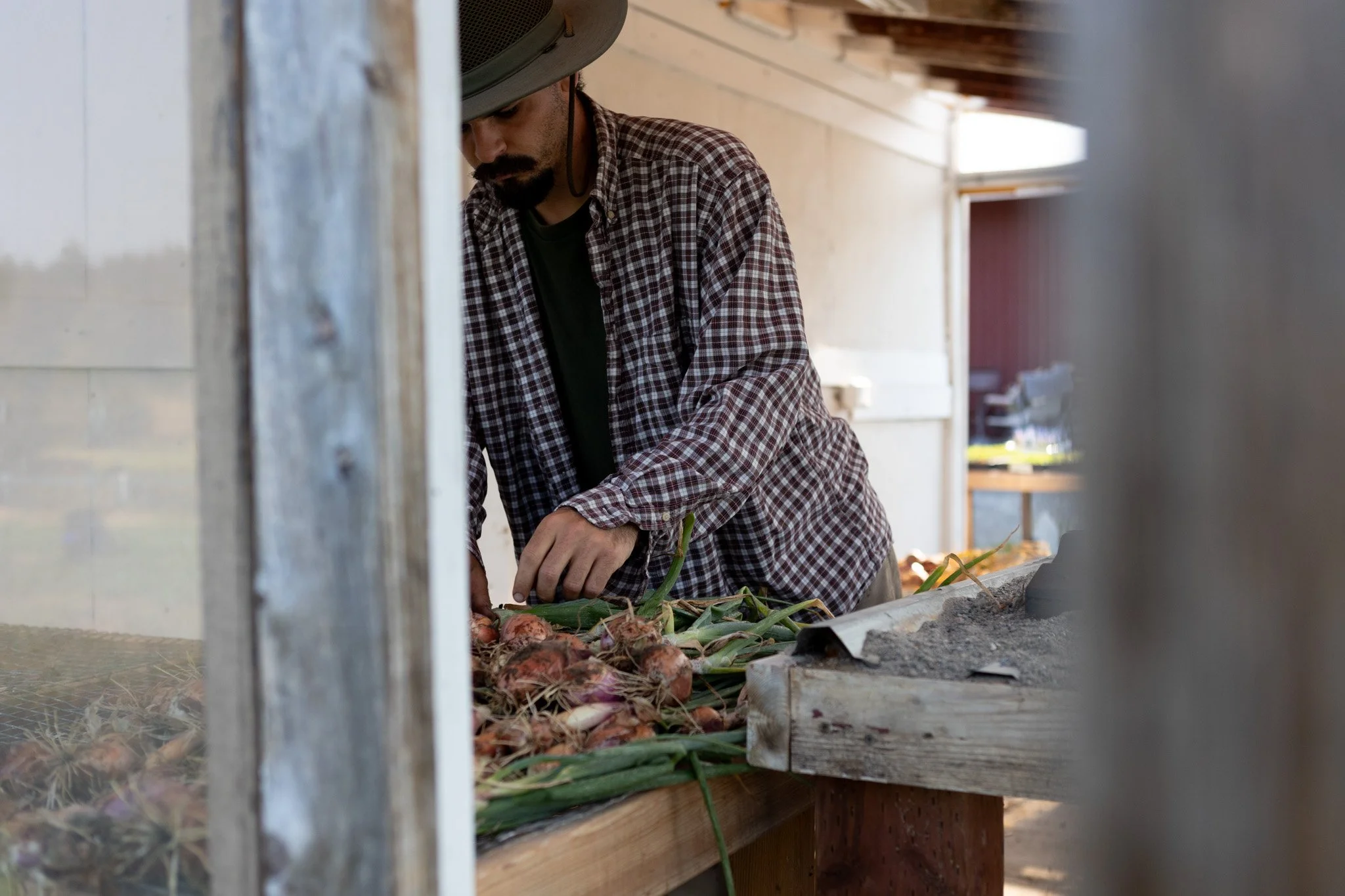Person tending seedling trays