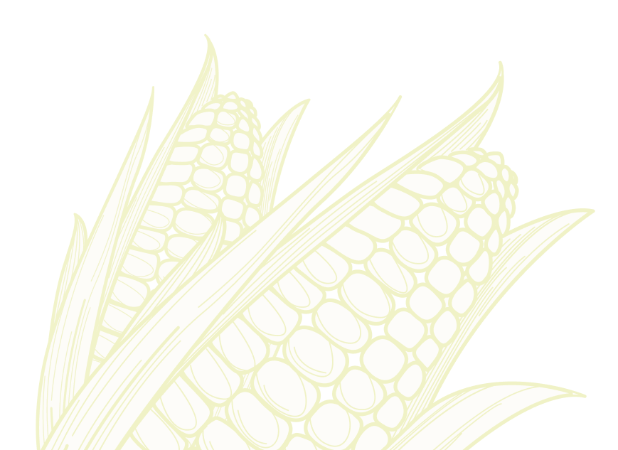 seasonal vegetable graphic
