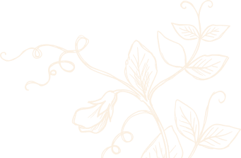 leafy vines vector graphic