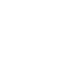 House Icon