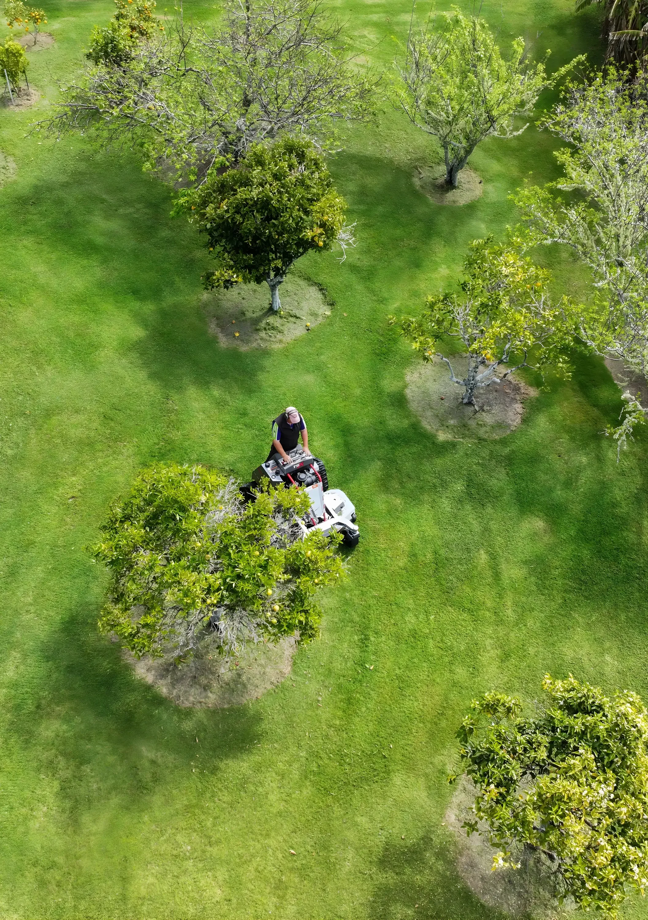 Crewcut lawn mowing service - aerial view