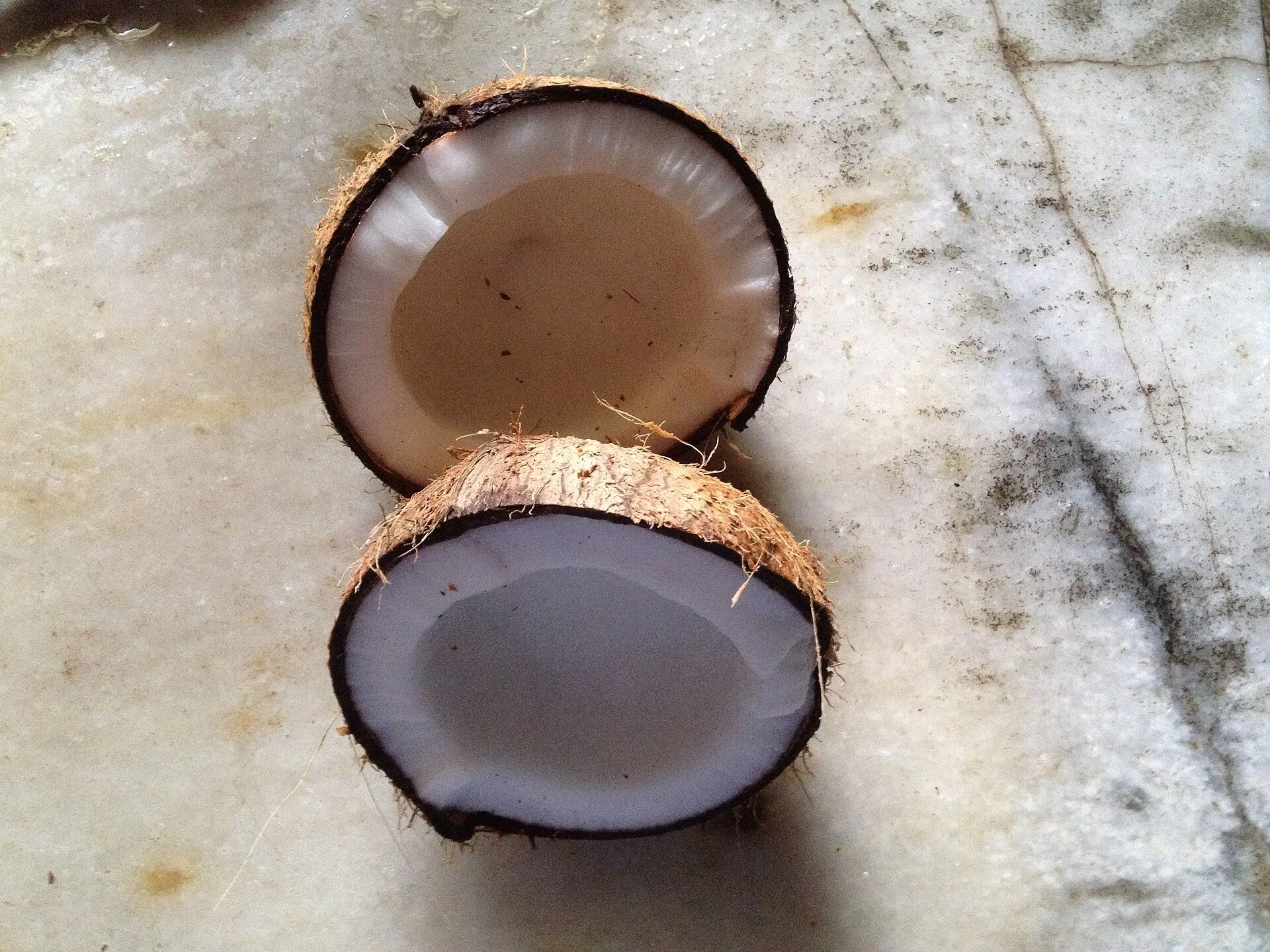 A coconut split into two halves on a marble surface