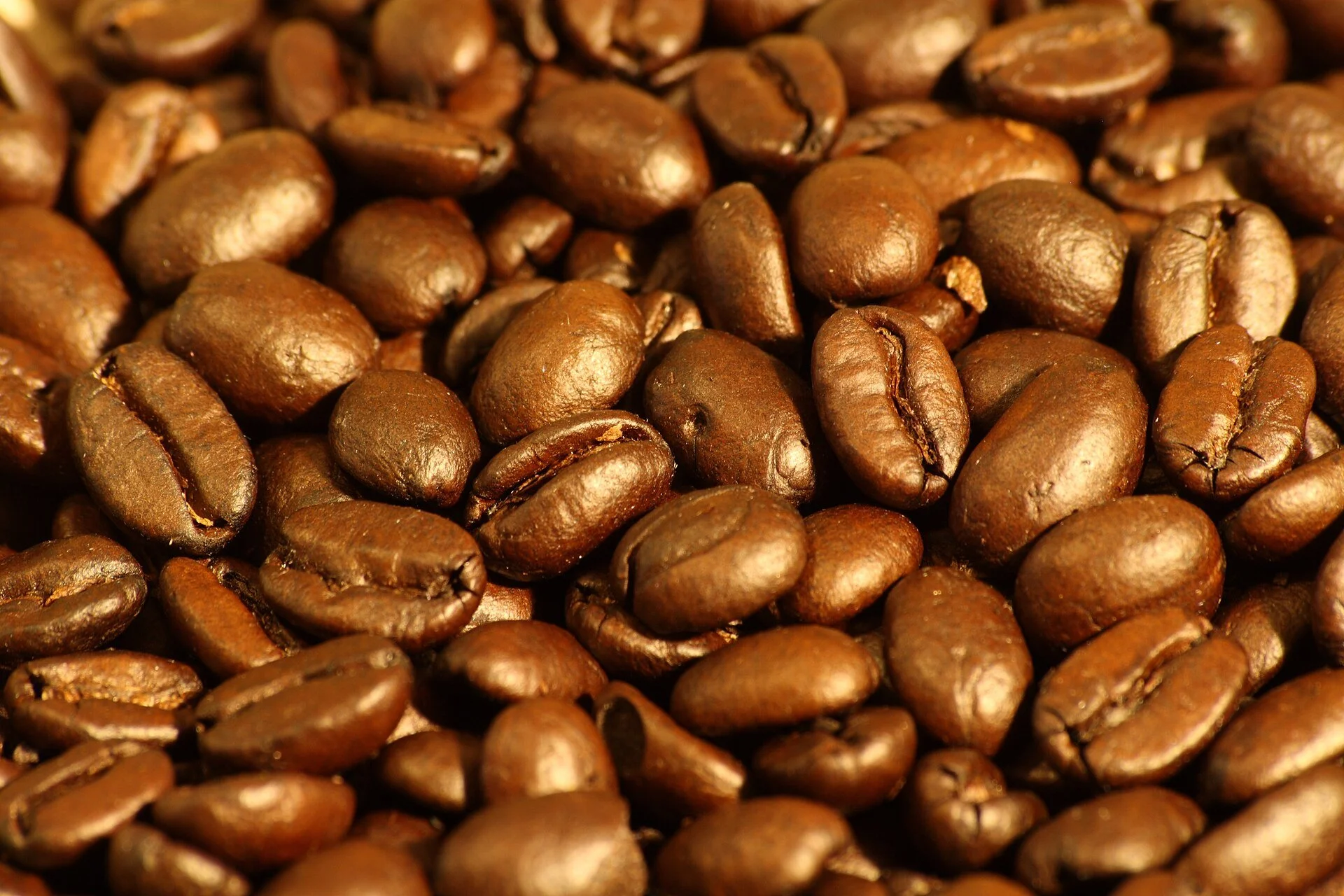 A close pile of dark roasted coffee beans