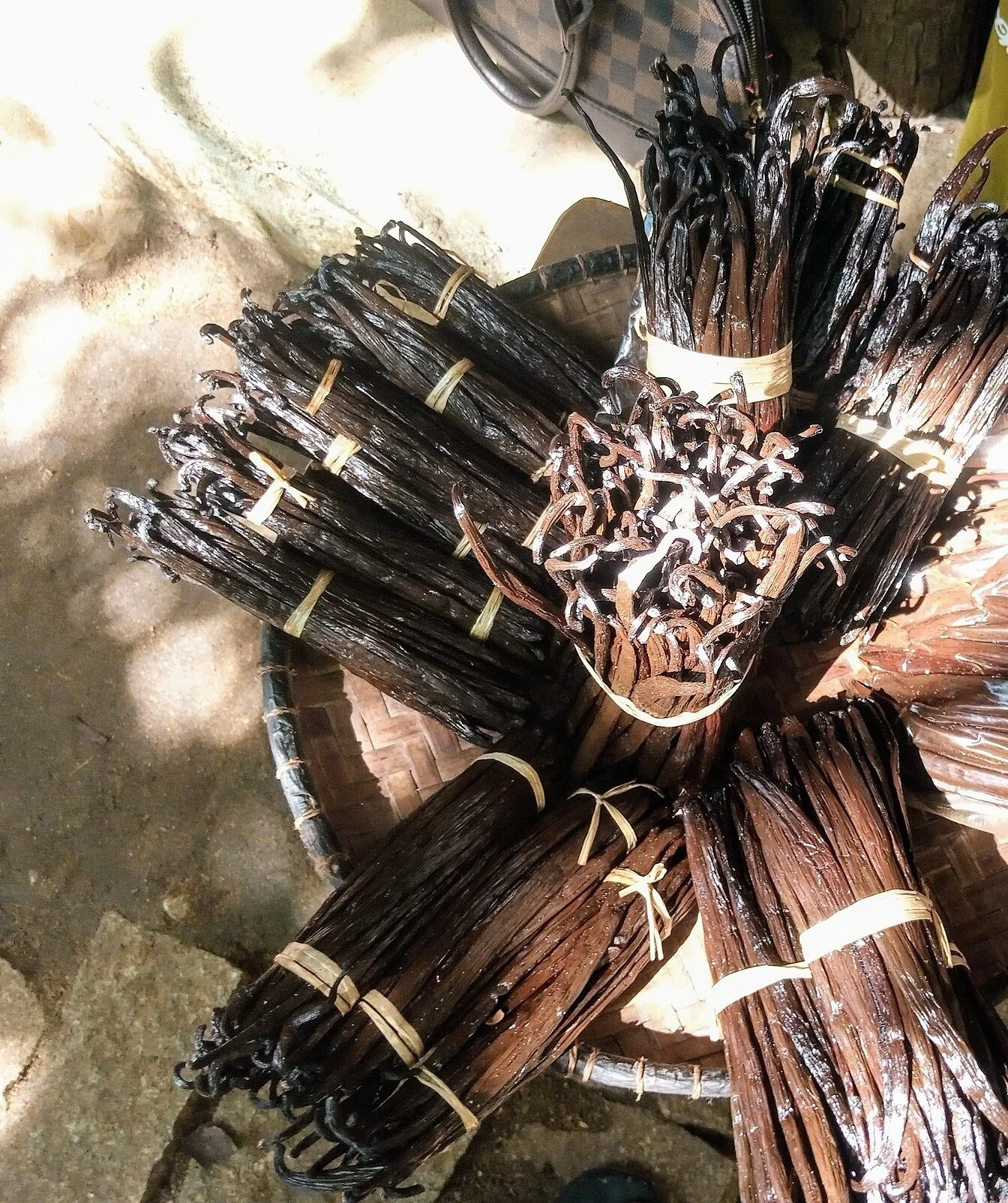 Bundles of dark cured vanilla beans tied together