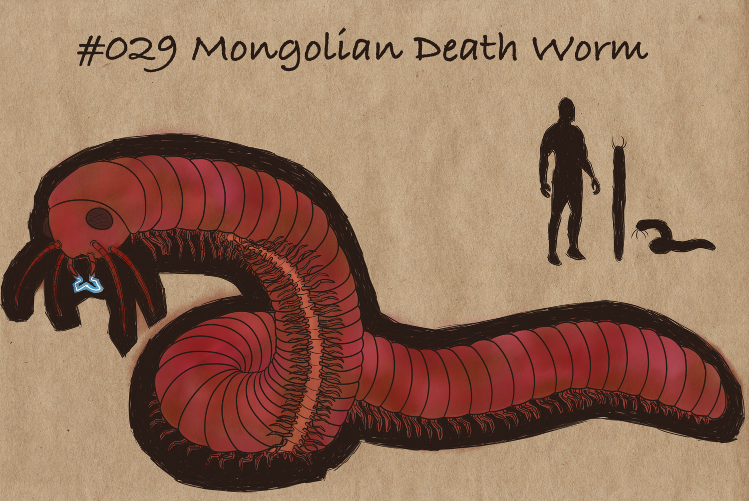 Черви в пустыне. Монгольский червь олгой хорхой. Олгой-хорхой смертоносный червь Гоби.