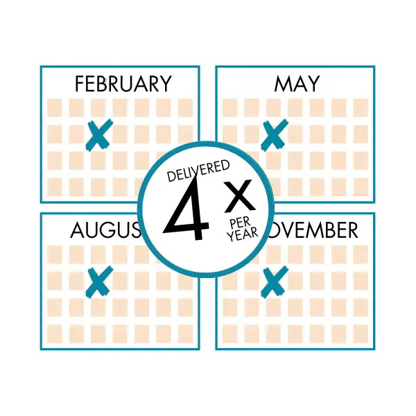 Delivery Timeline