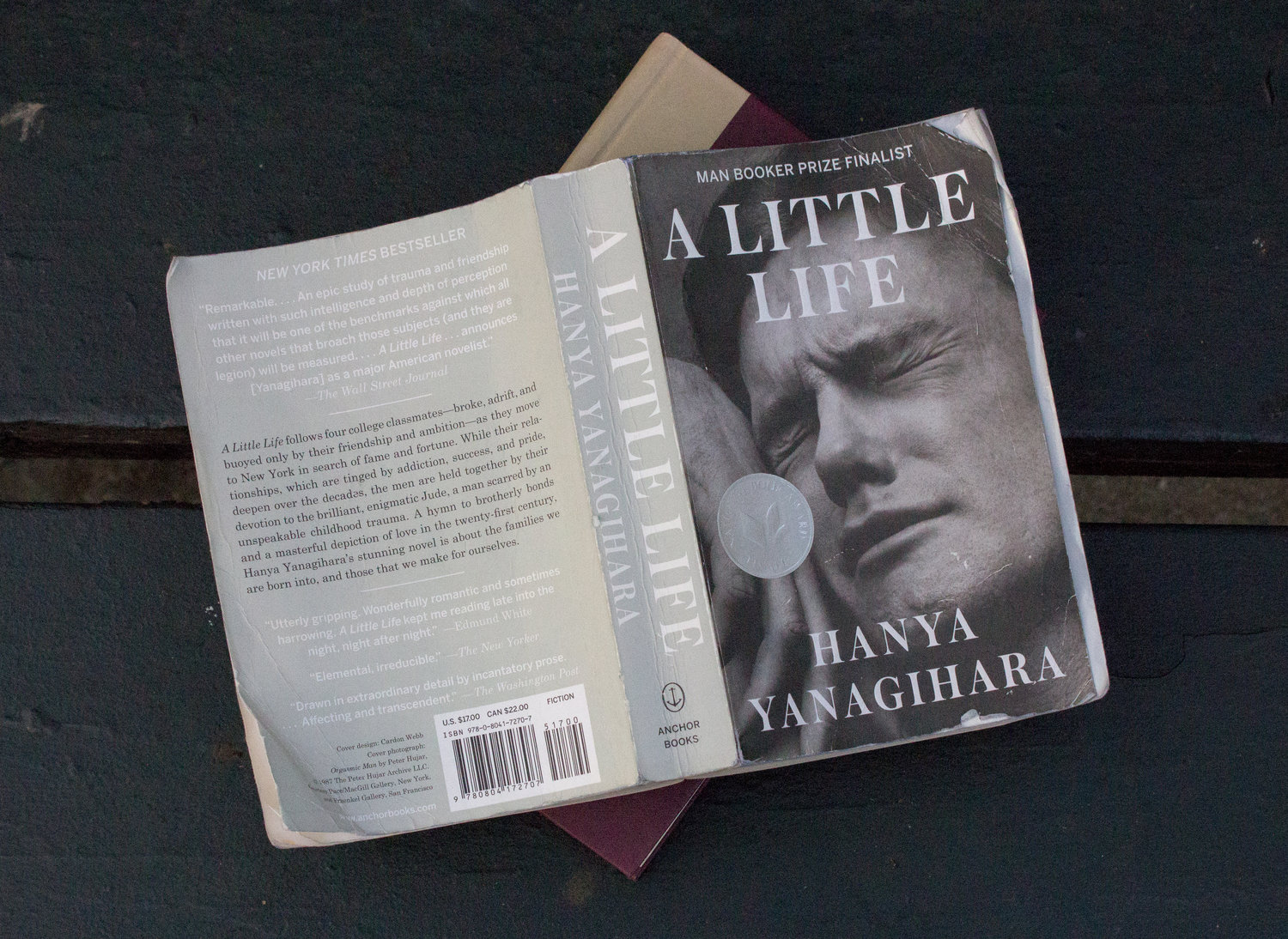 A little life книга. A little Life hanya Yanagihara. Янагихара книги. Обложка книги a little Life.
