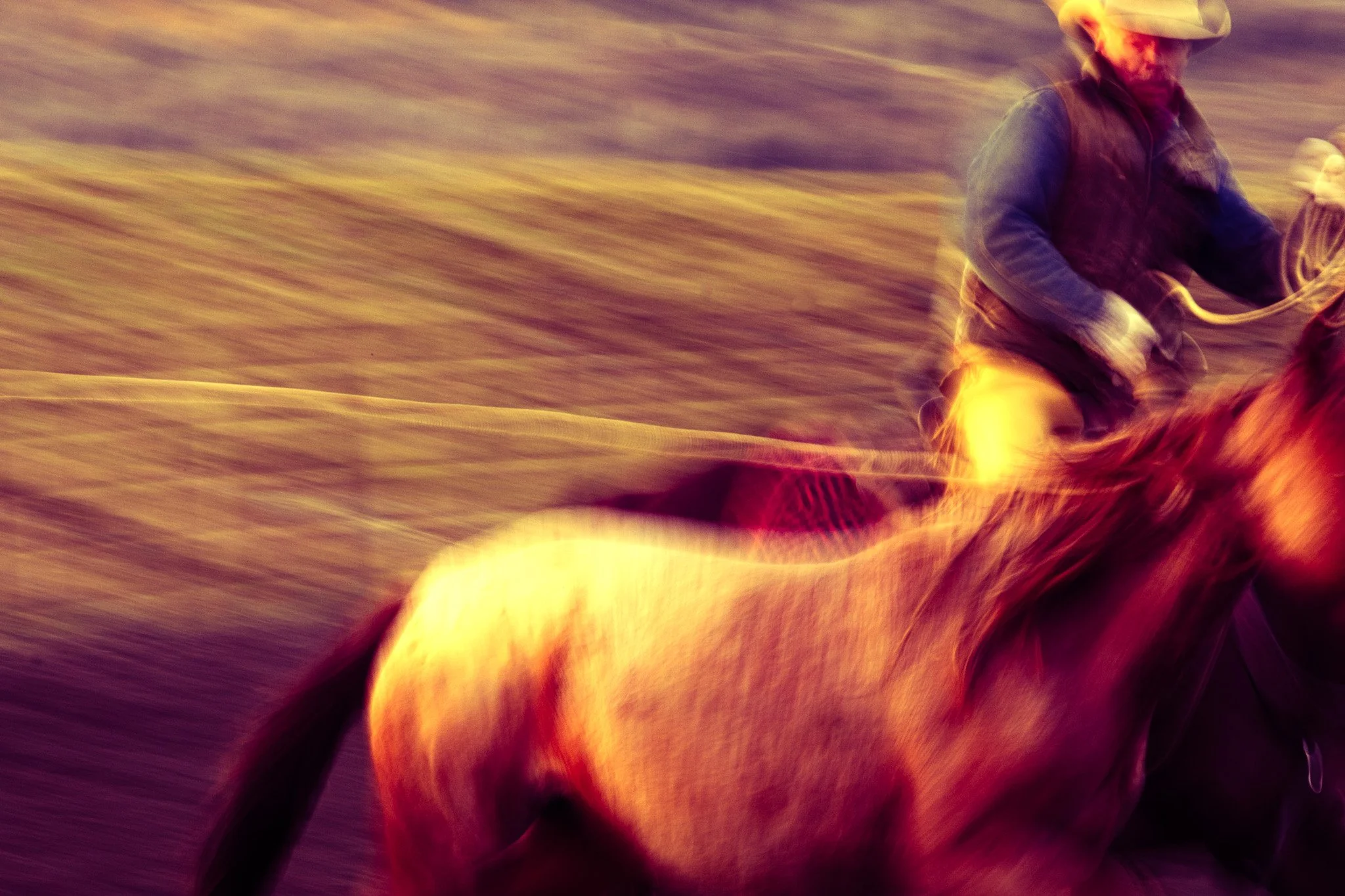 A rider and horse captured in warm motion blur