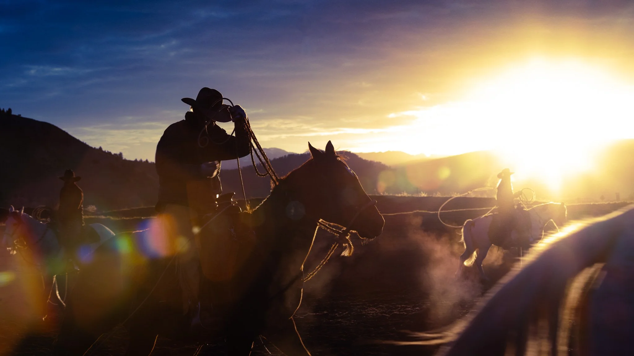 Riders and horses in golden sunlight