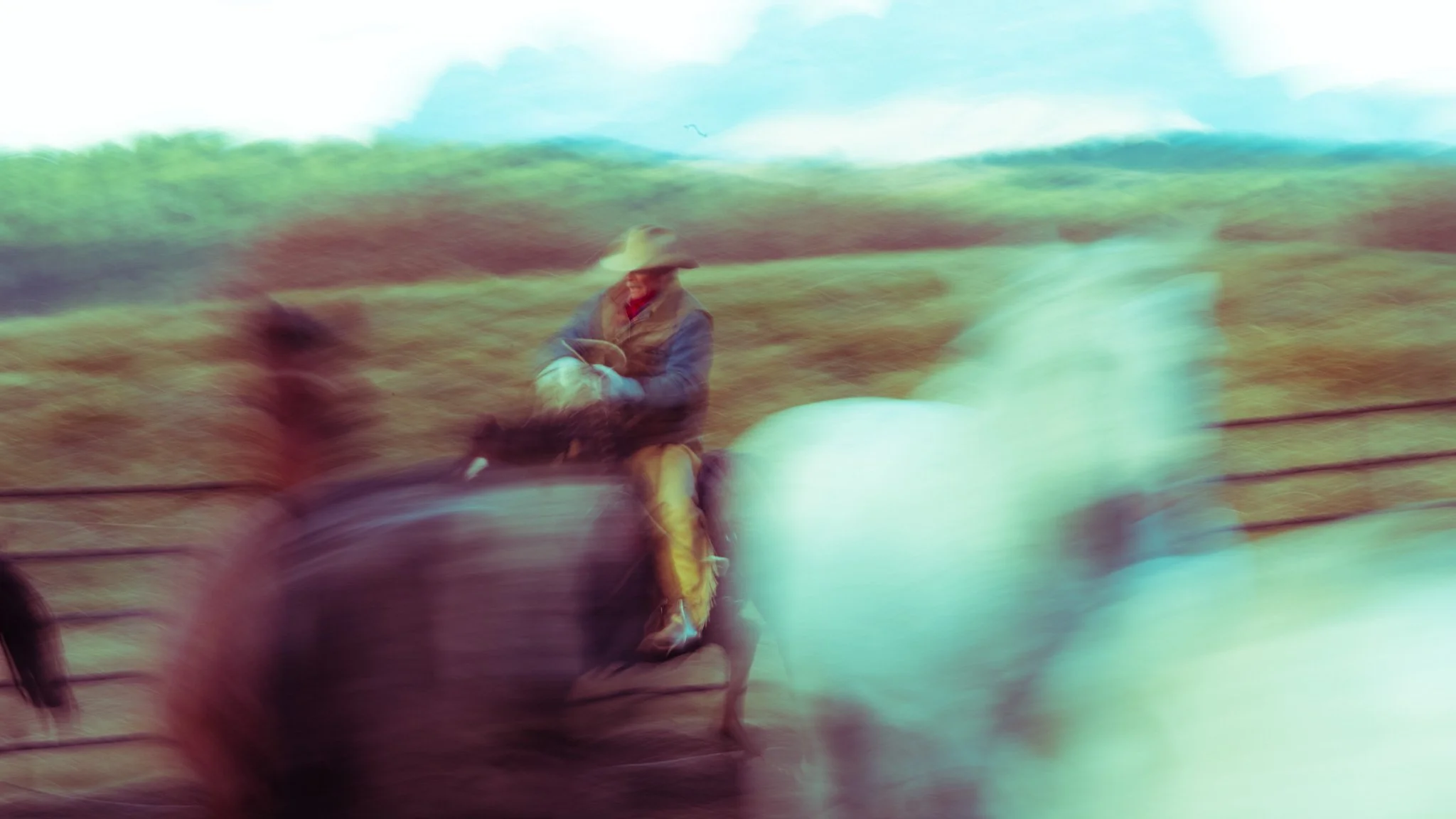 Horses and a rider rendered in soft motion blur