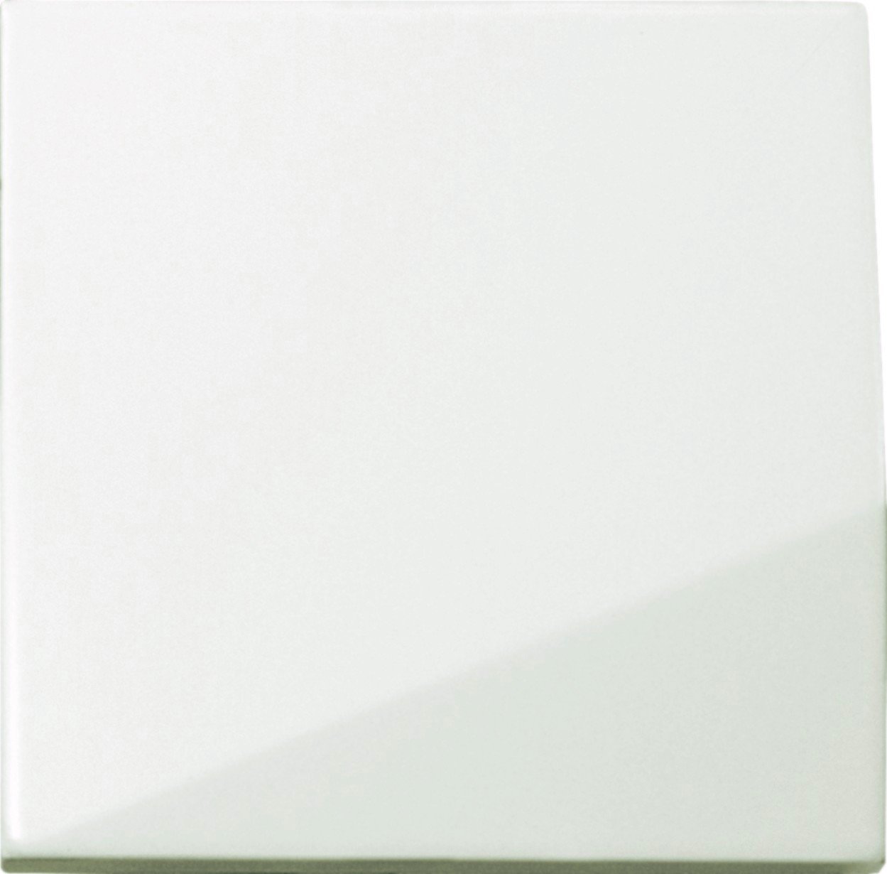 7878 LANCE WHITE