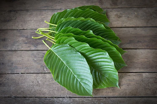 Kratom Advertising: What’s Legal And What Is Not