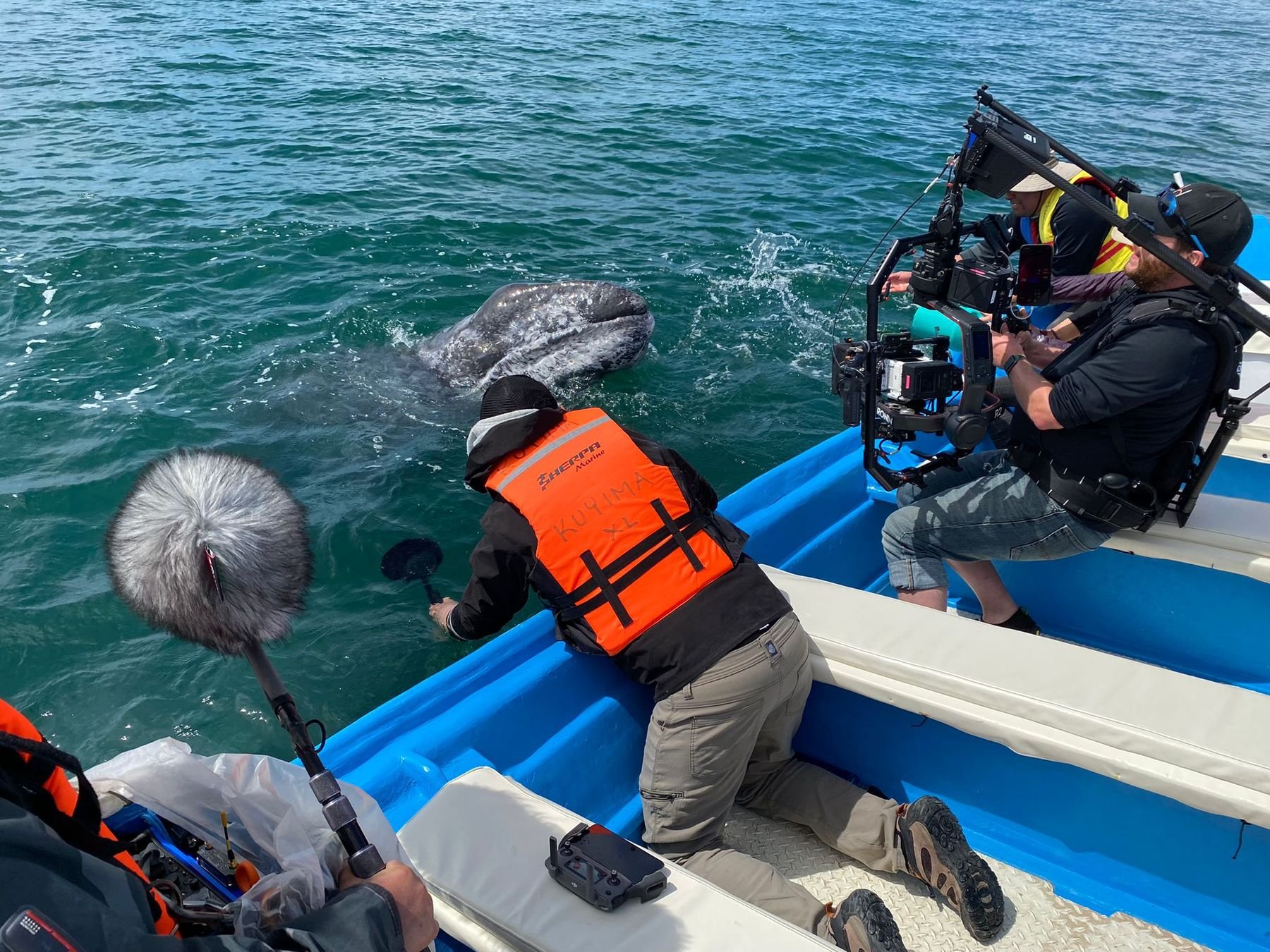 Bart Johnson production crew filming a whale from a boat