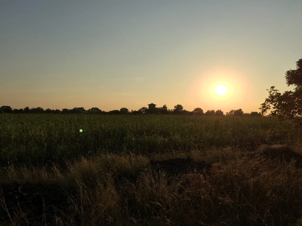Peaceful sunset over a field — Transcend Counseling & Consulting