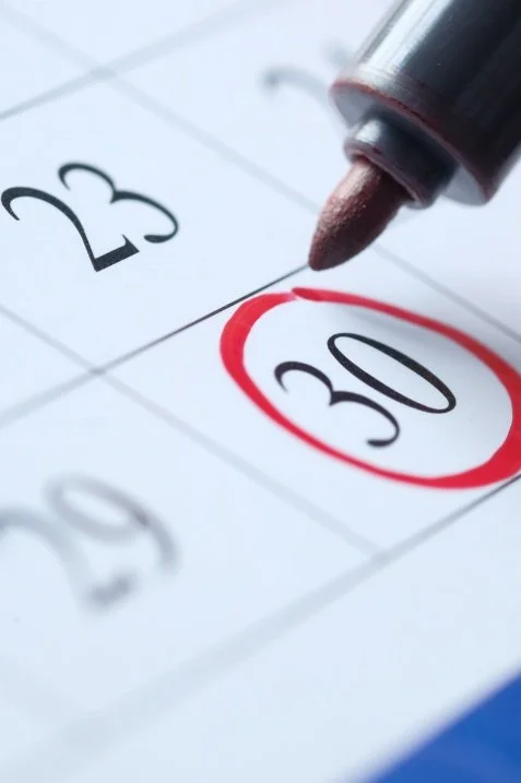 Both pages of yard waste flyer