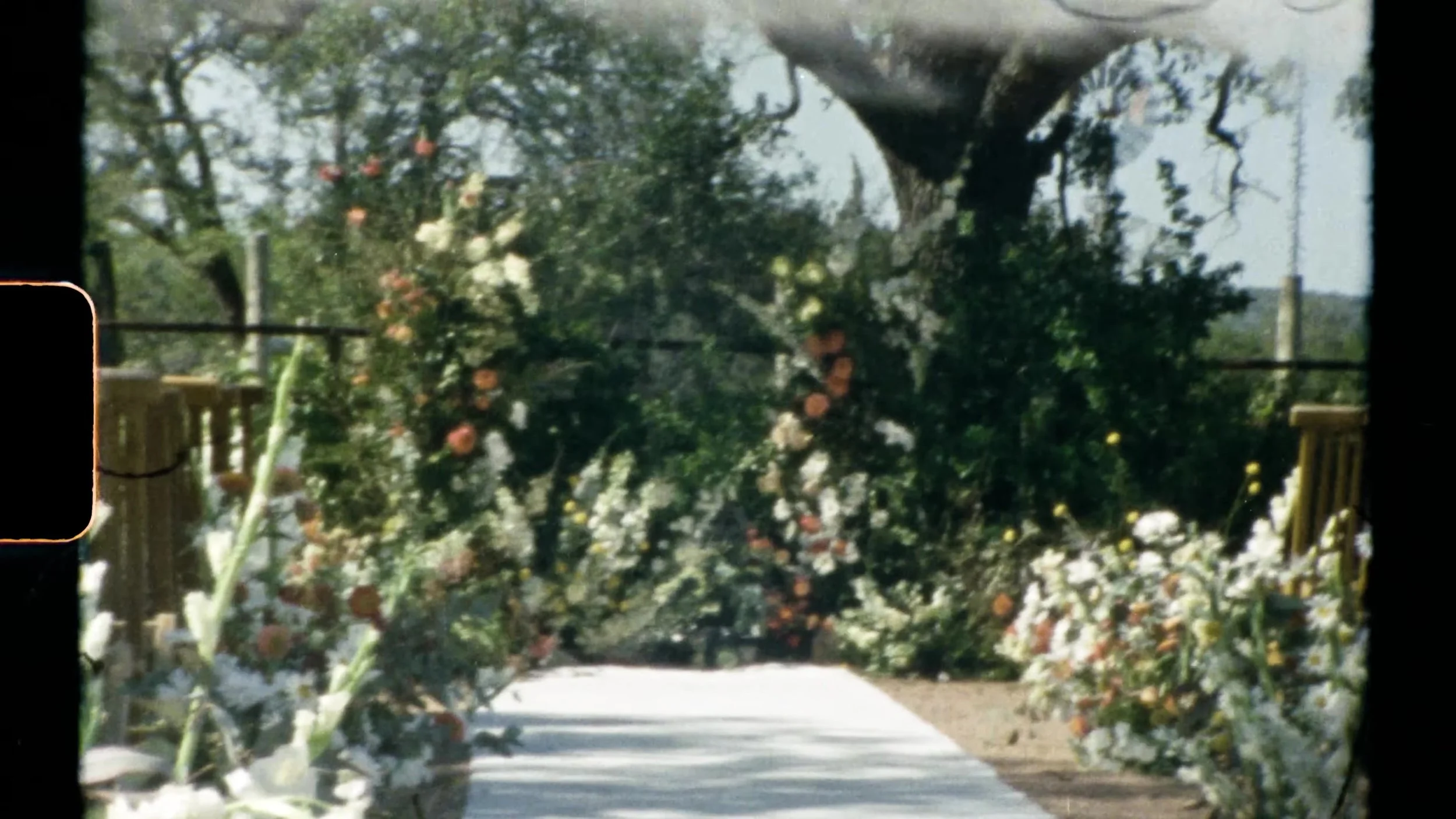 Empty ceremony aisle with white runner and floral altar under trees at Camp Lucy Vineyards in Austin, Texas