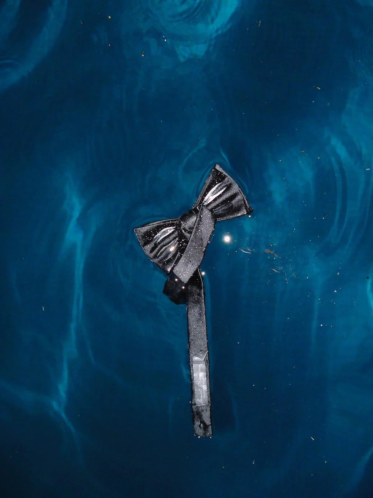 Glittered black bow tie floating in a swimming pool