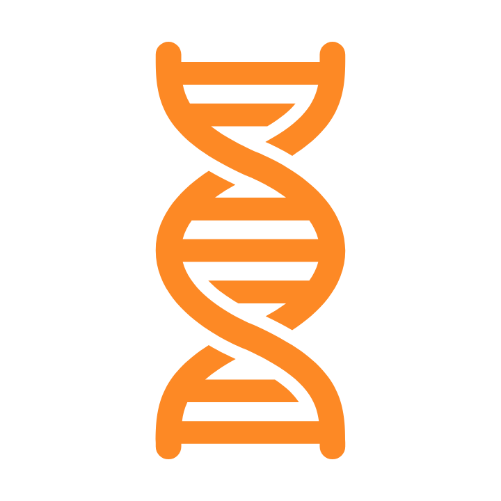 Icon of DNA