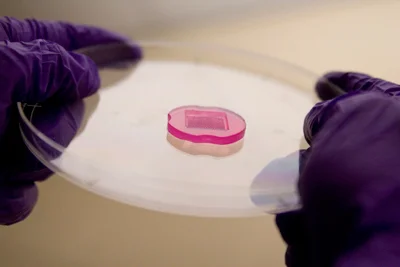 3D Petri Dish micro-molds on plate