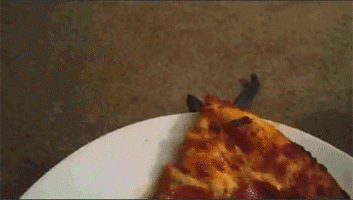 Cat jumps up to steal a piece of pizza