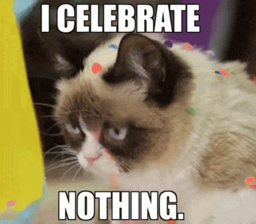 GIF of an angry looking cat with the words "I celebrate nothing" over top.