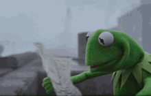 Image of Kermit the Frog, looking at a map in confusion