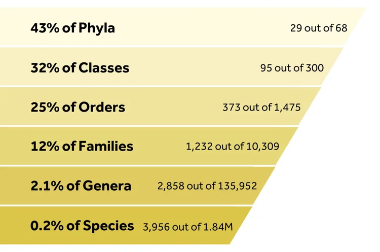 Breakdown Of Earth