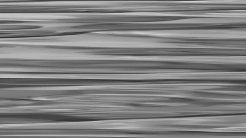 Curl Noise with Internal Speed and Direction