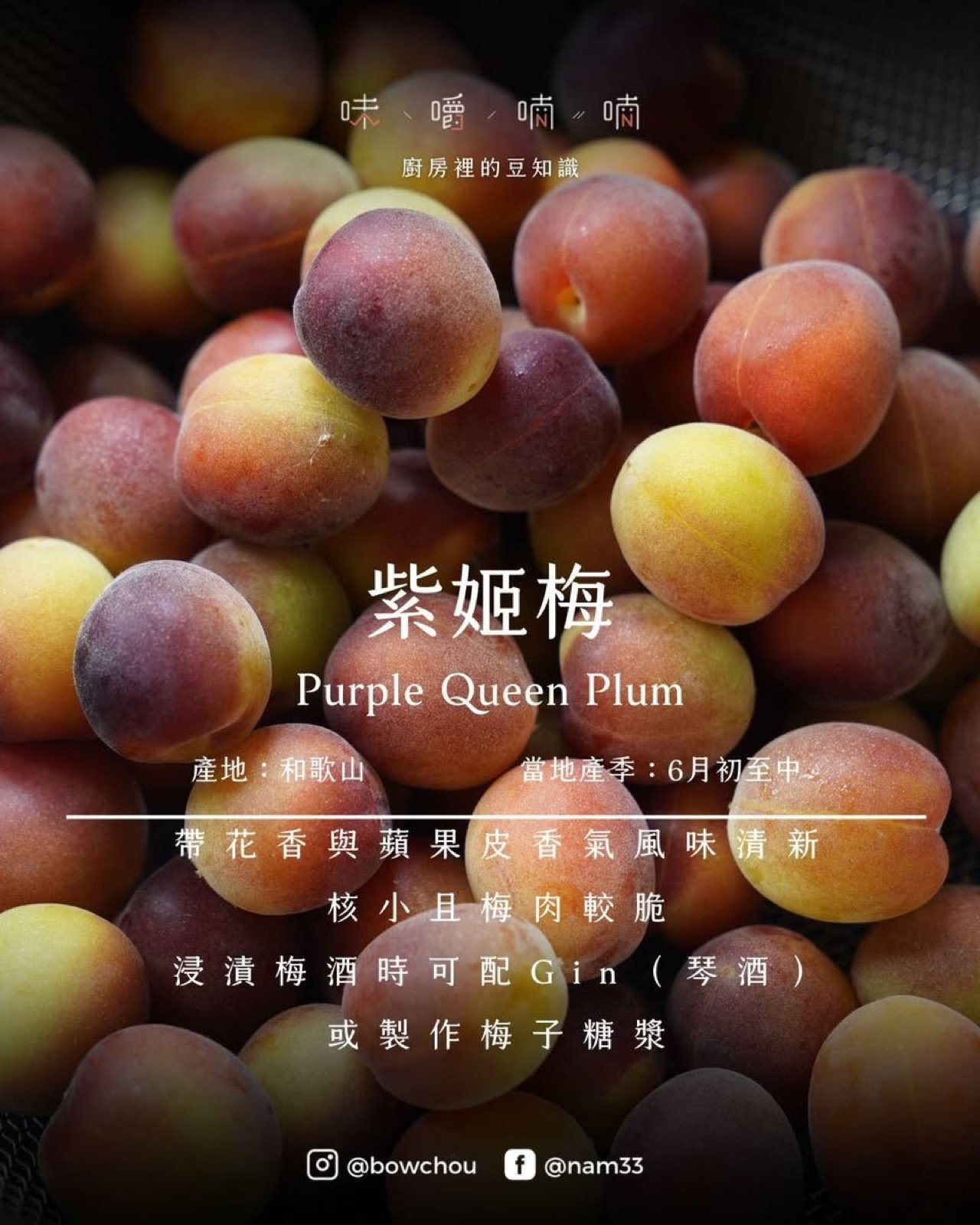 梅酒季.試試氈酒與白蘭地版本