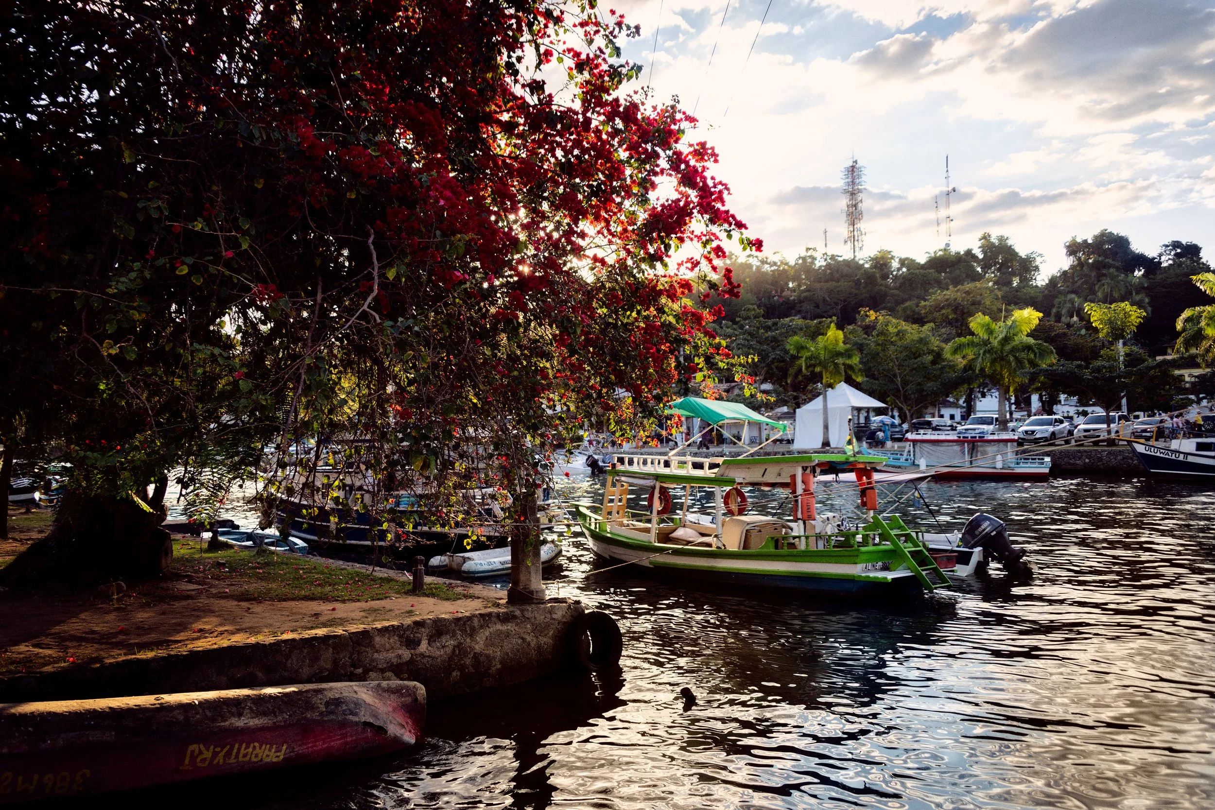 Flowering tree, water and boat near Paraty