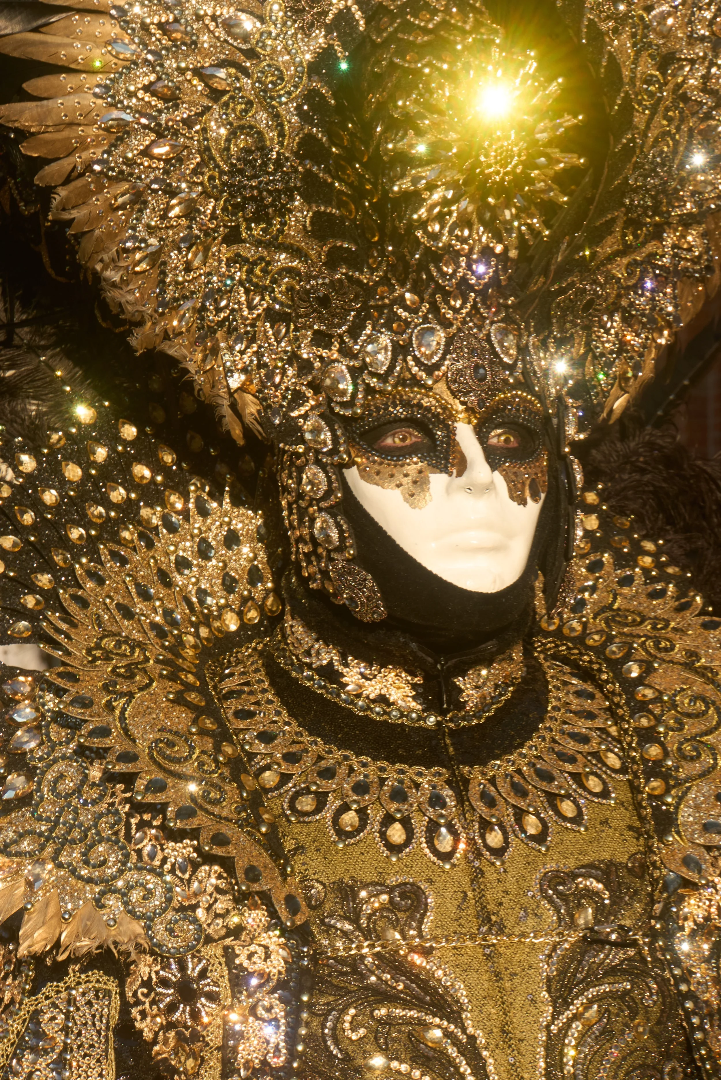 Venice Carnival photograph 129 by Vanessa Fennel