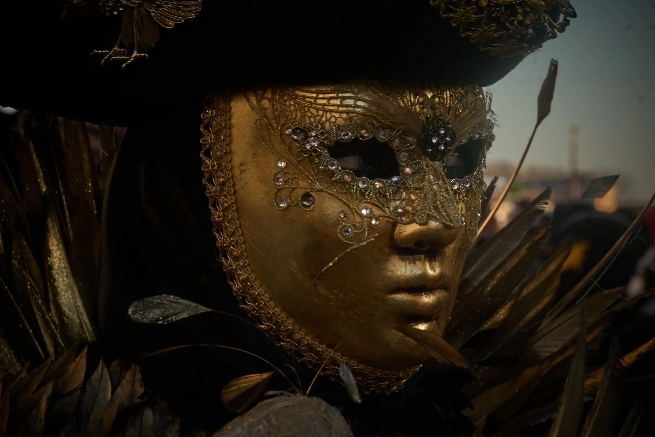 Venice Carnival photograph 138 by Vanessa Fennel