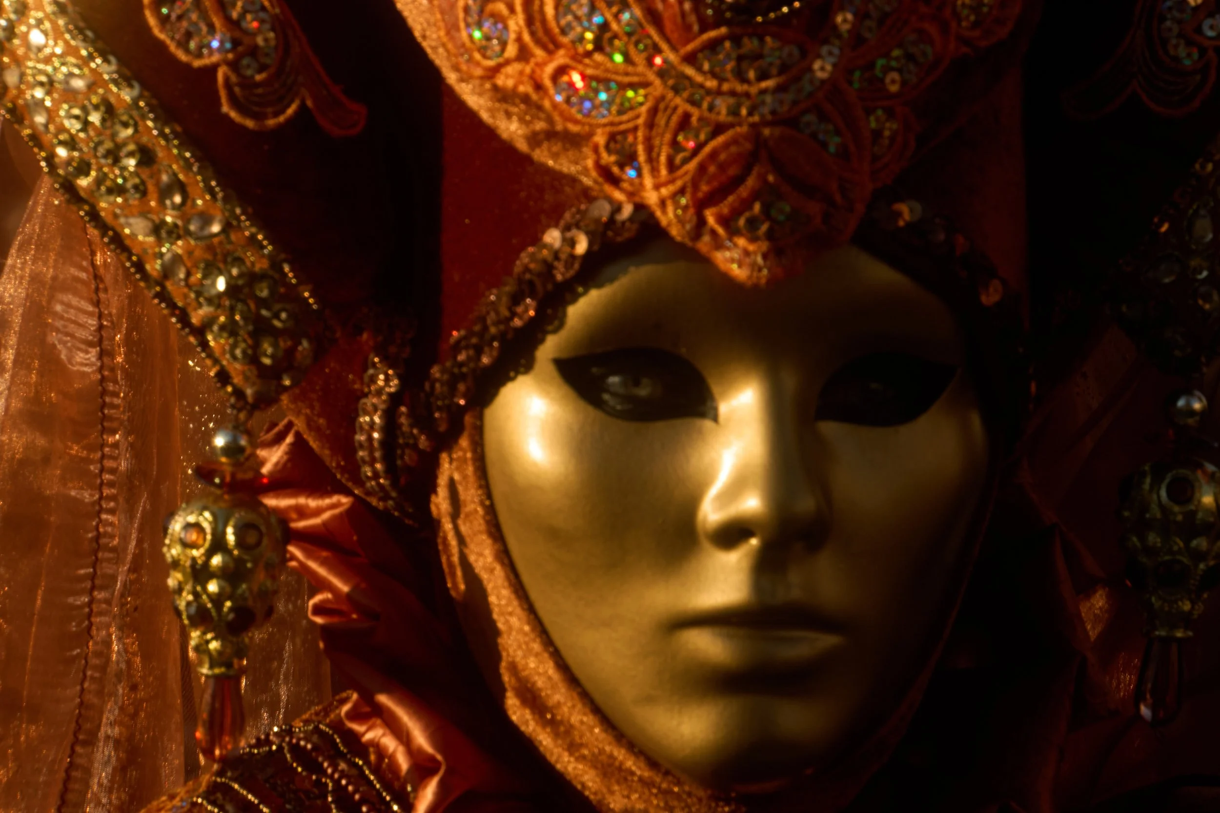 Venice Carnival photograph 132 by Vanessa Fennel