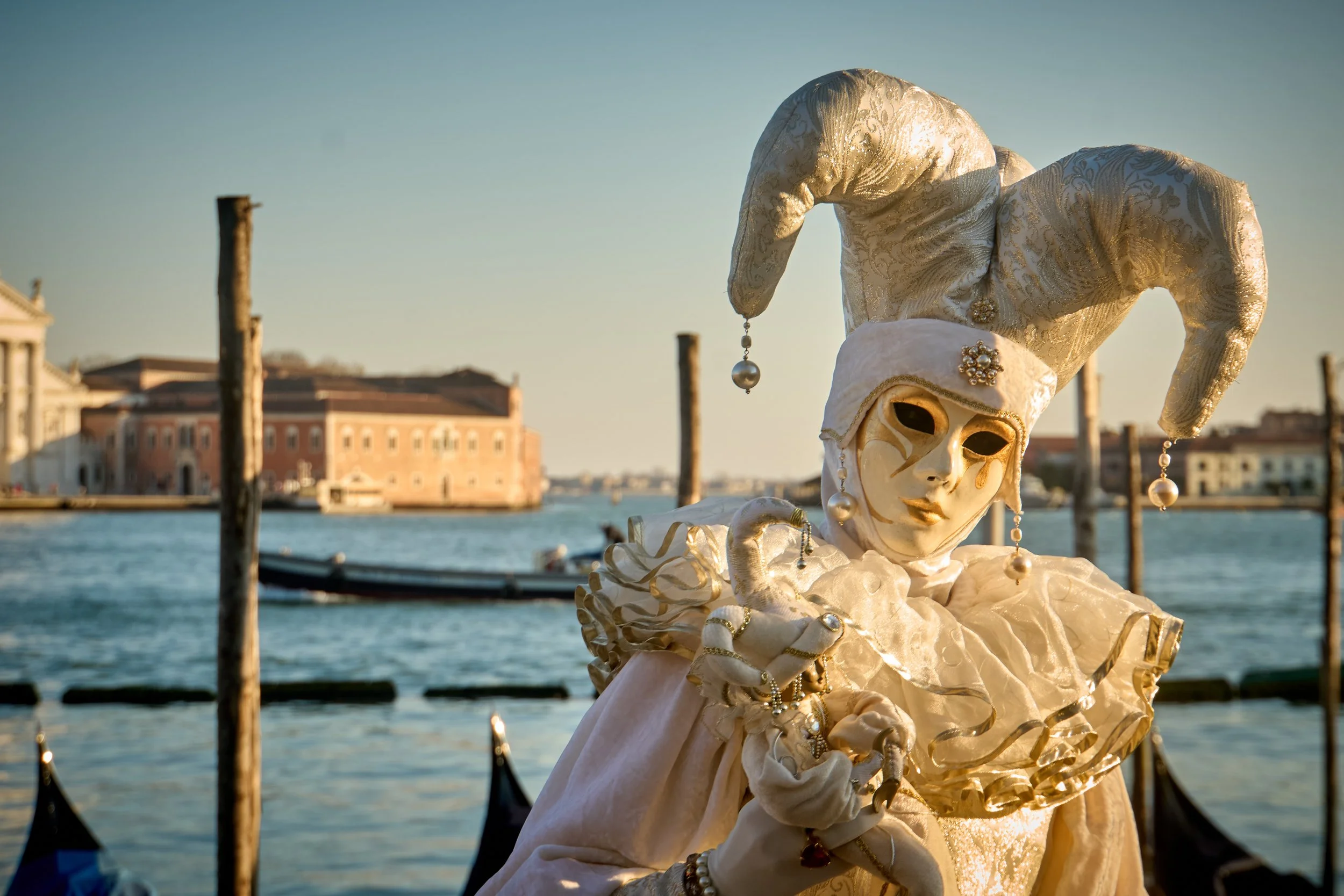 Venice Carnival photograph 154 by Vanessa Fennel