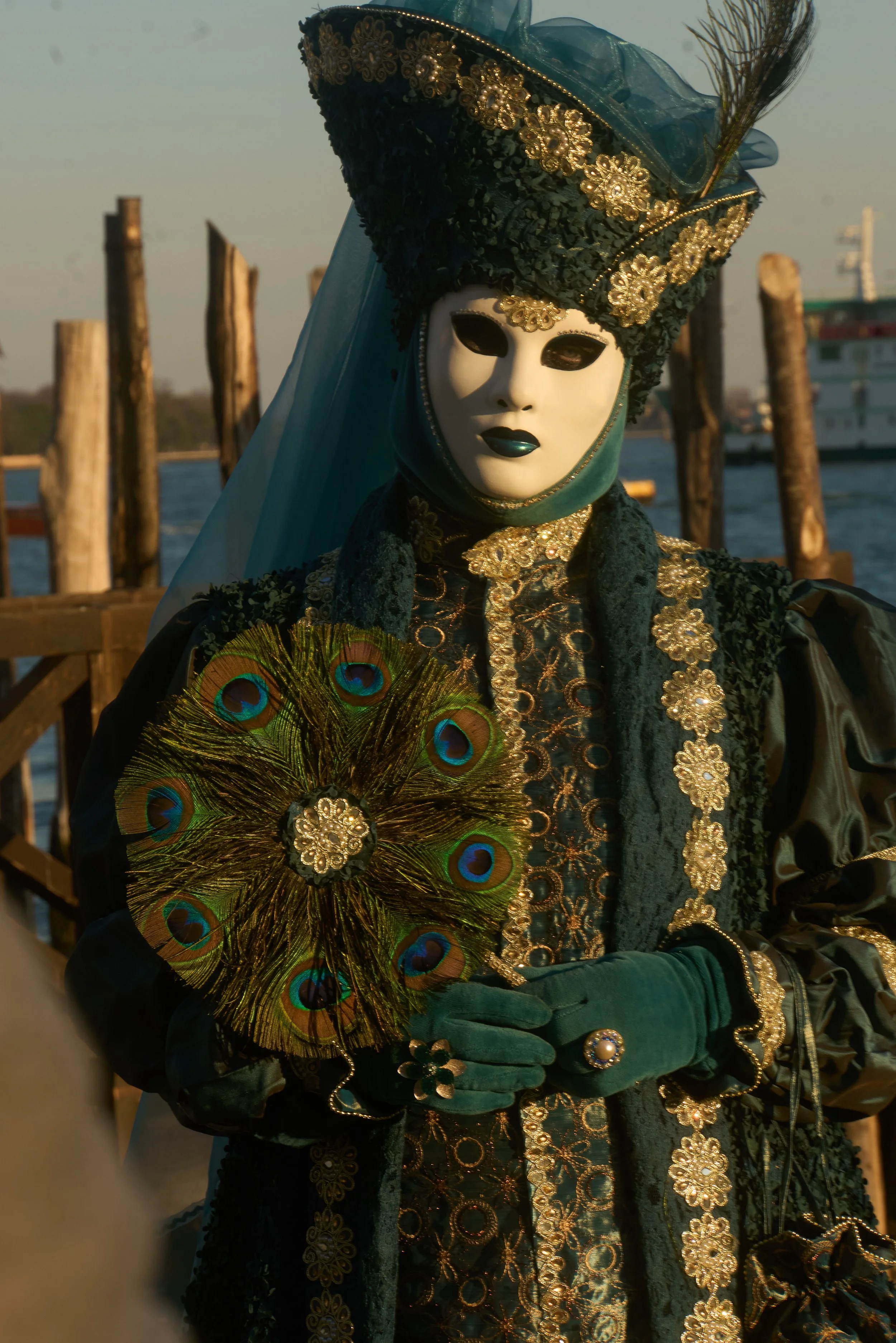Venice Carnival photograph 177 by Vanessa Fennel