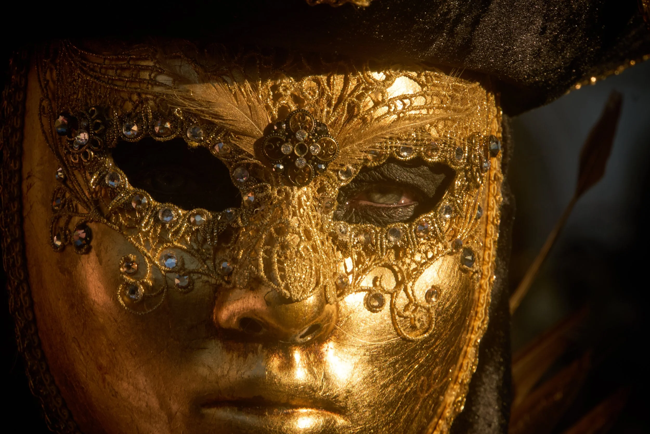 Venice Carnival photograph 141 by Vanessa Fennel