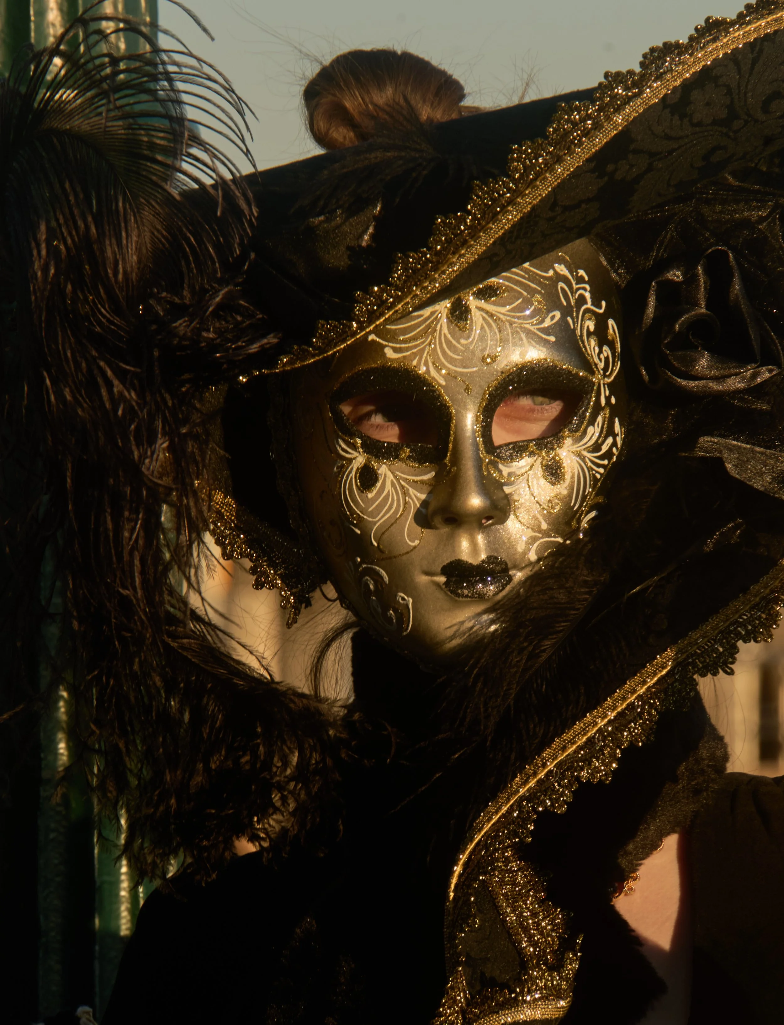 Venice Carnival photograph 180 by Vanessa Fennel