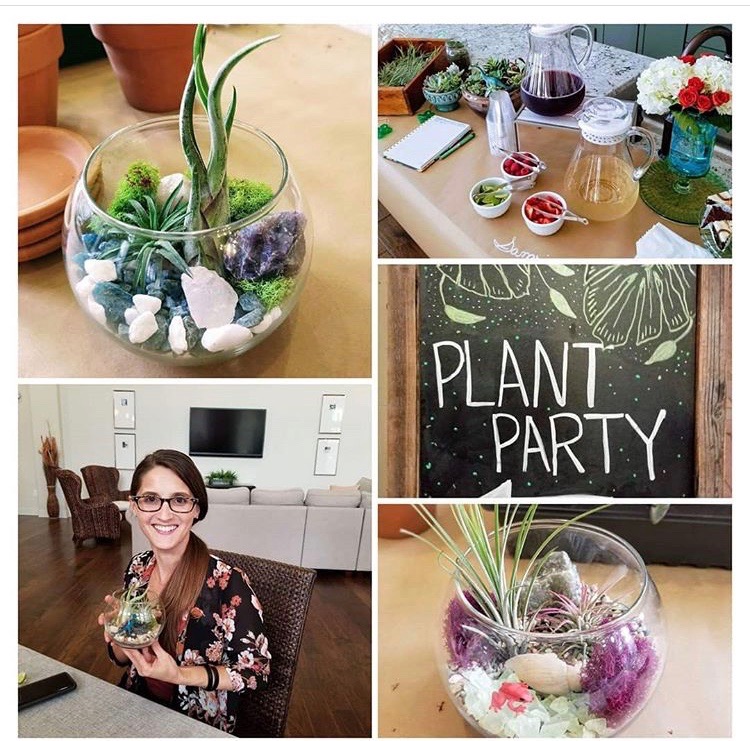 Plant party. Plants swap Market.