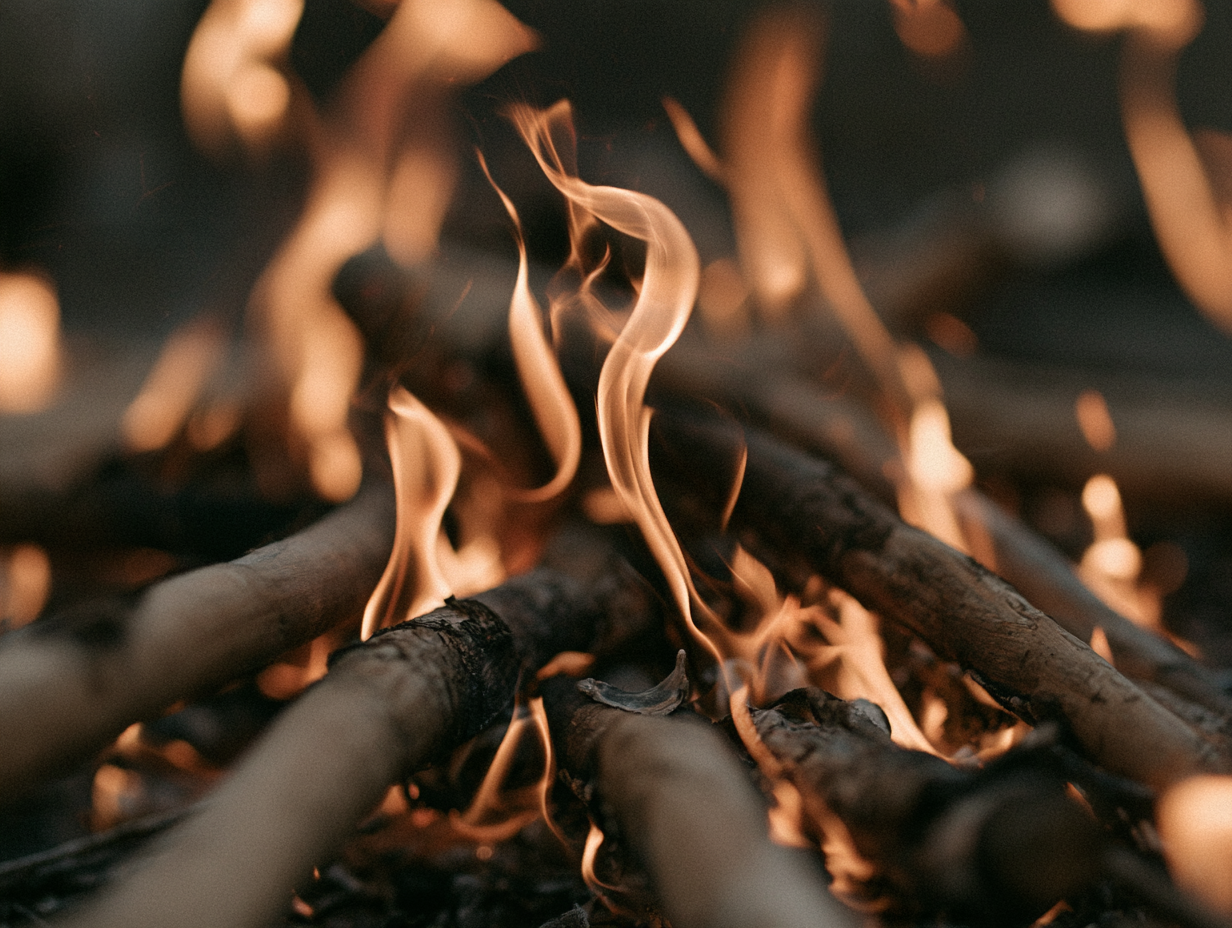 Campfire project