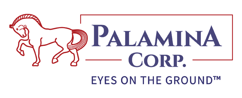 Palamina Corp.