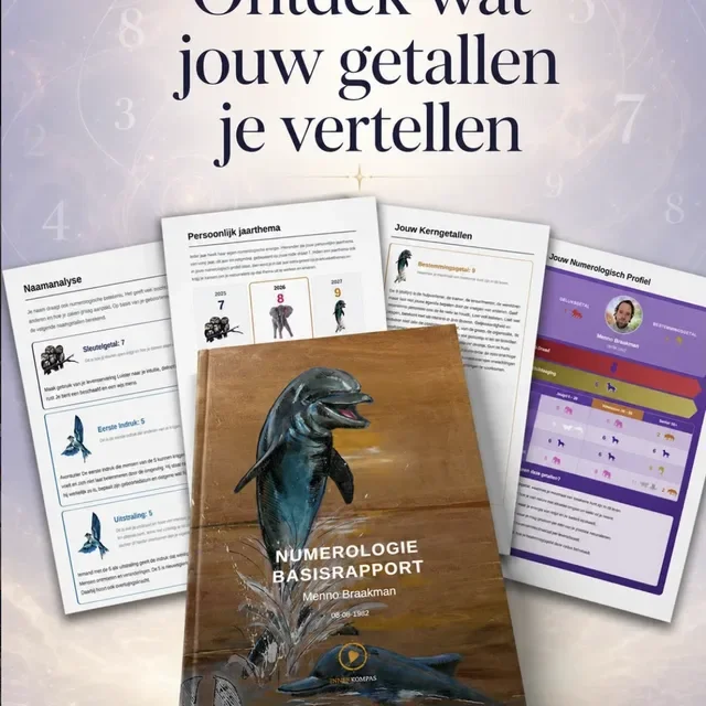 Ontdek wat jouw getallen je vertellen — Basisrapport
