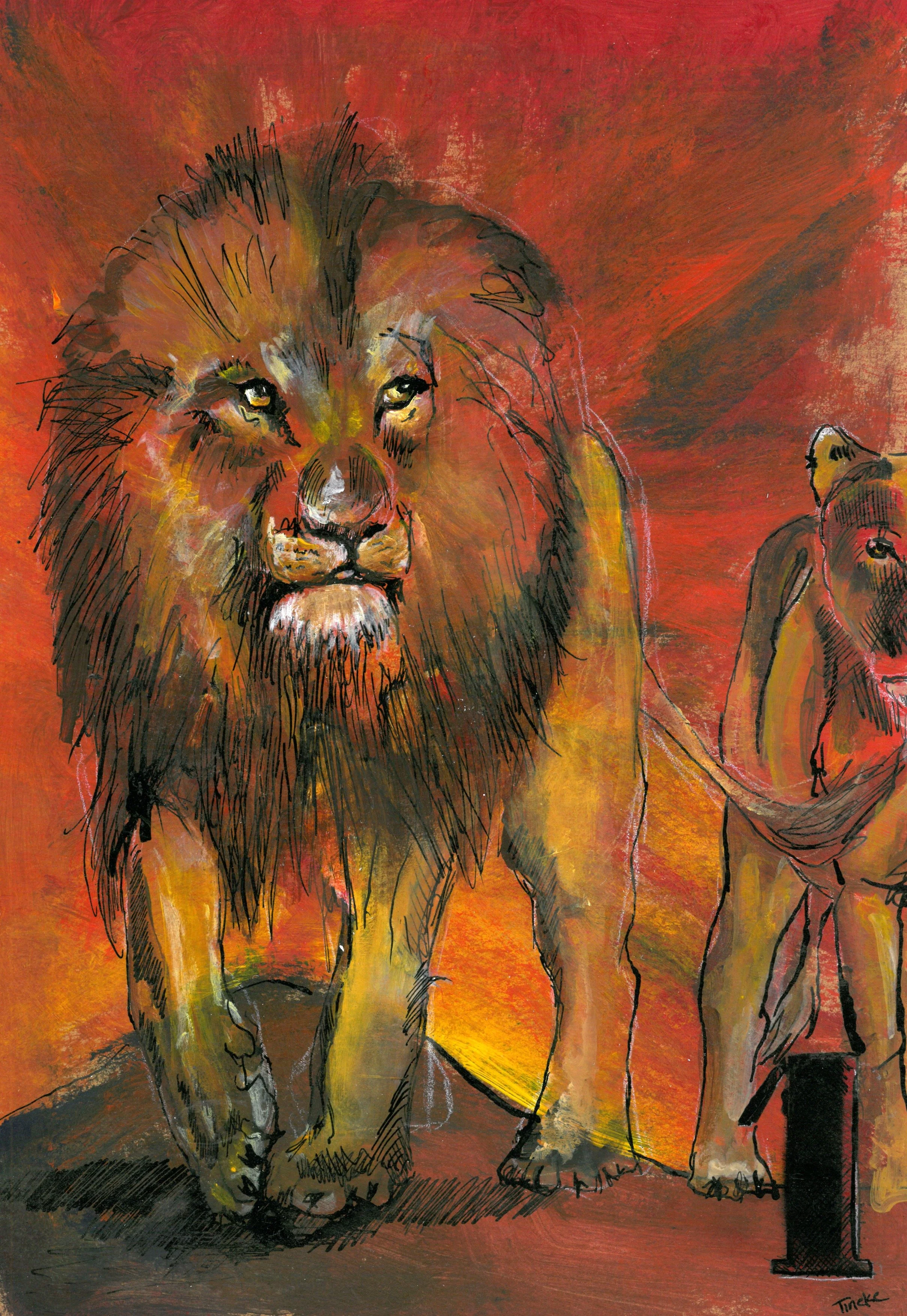 Dag — Volwassen Fase