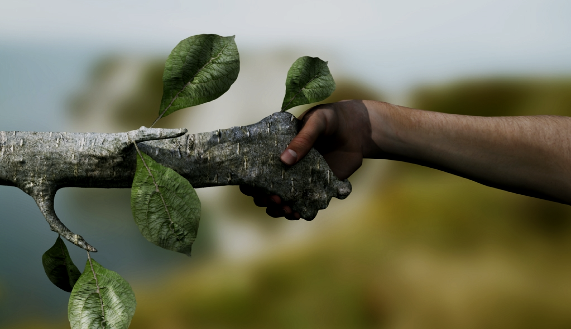 Twee handen in de natuur