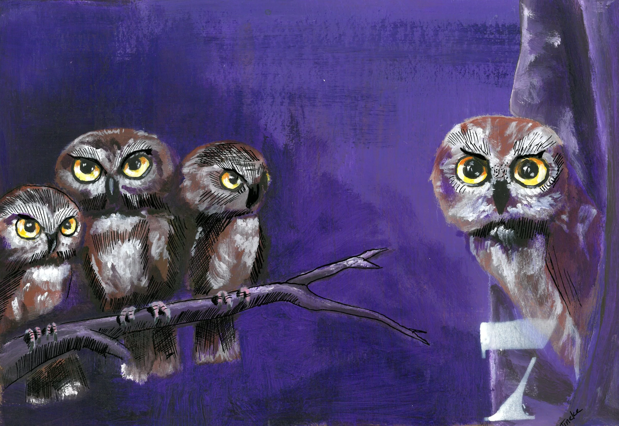 Jaar — Senior Fase