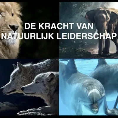 De kracht van natuurlijk leiderschap