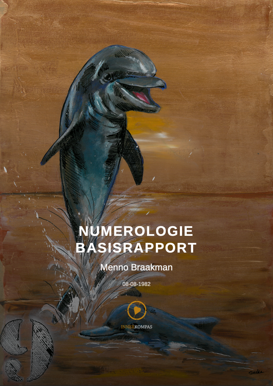 Rapport cover pagina